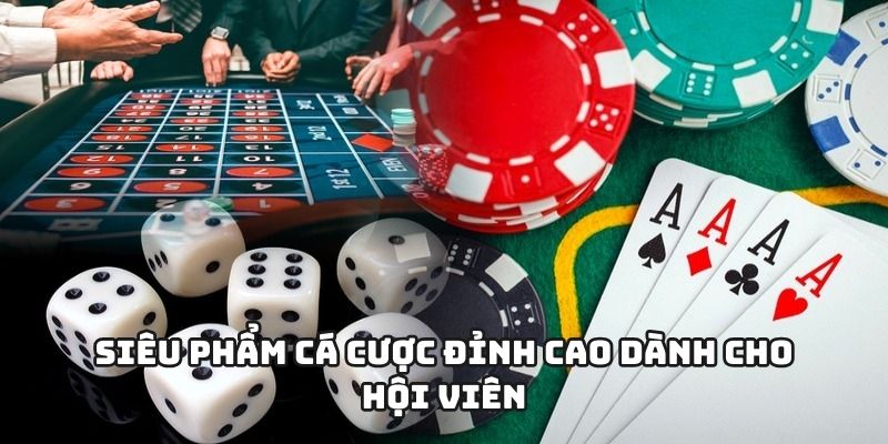 Siêu phẩm cá cược đỉnh cao dành cho hội viên