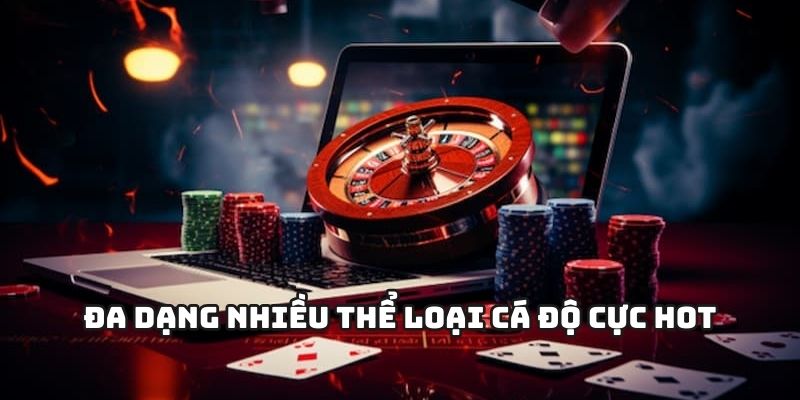 Đa dạng nhiều thể loại cá độ cực hot