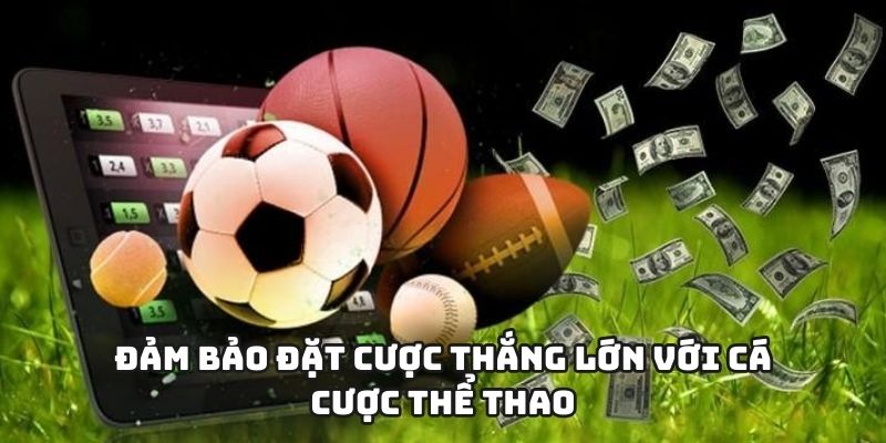 Đảm bảo đặt cược thắng lớn với cá cược thể thao