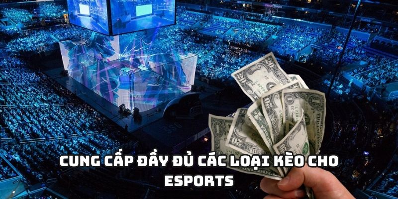 Cung cấp đầy đủ các loại kèo cho Esports