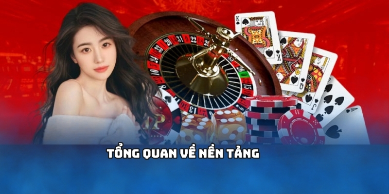 Tổng quan về nền tảng 