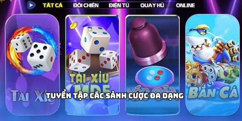 Tuyển tập các sảnh cược đa dạng