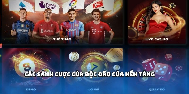 Các sảnh cược của độc đáo của nền tảng