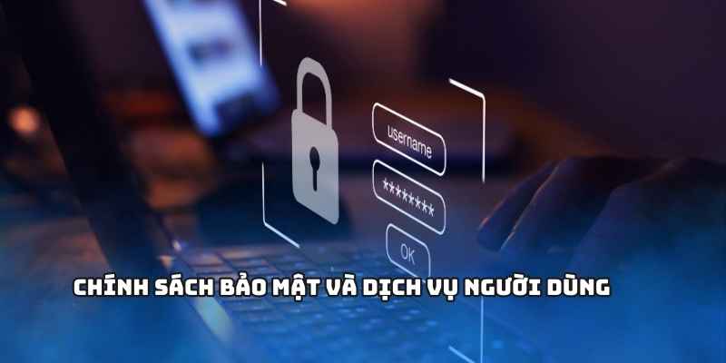 Chính sách bảo mật và dịch vụ người dùng 