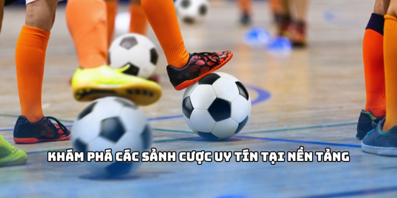 Khám phá các sảnh cược uy tín tại nền tảng