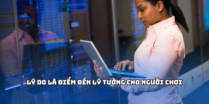Lý do là điểm đến lý tưởng cho người chơi