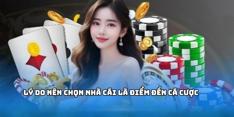 Lý do nên chọn đây là điểm đến cá cược