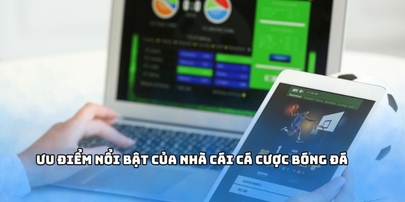 Ưu điểm nổi bật của nhà cái cá cược bóng đá