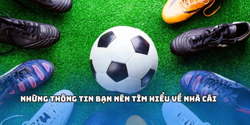 Những thông tin bạn nên tìm hiểu về nhà cái