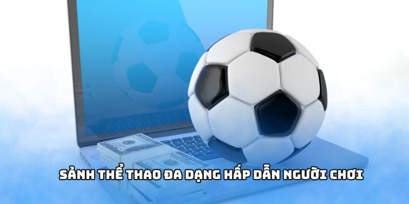 Sảnh thể thao đa dạng hấp dẫn người chơi