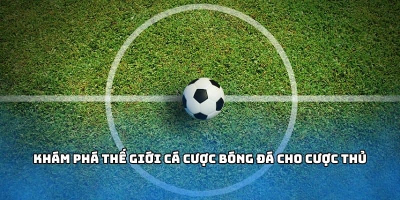 Khám phá thế giới cá cược bóng đá cho cược thủ
