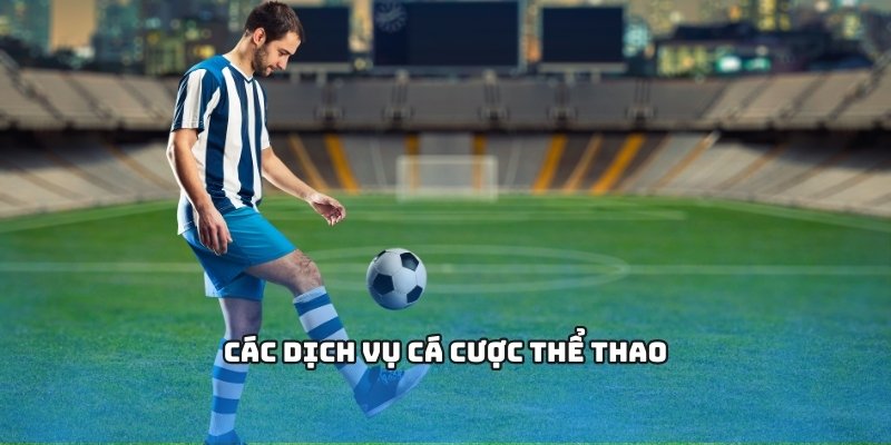 Các dịch vụ cá cược thể thao