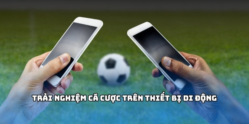 Trải nghiệm cá cược trên thiết bị di động