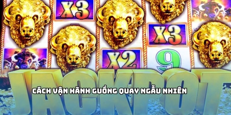 Khám phá bí mật vận hành guồng quay ngẫu nhiên