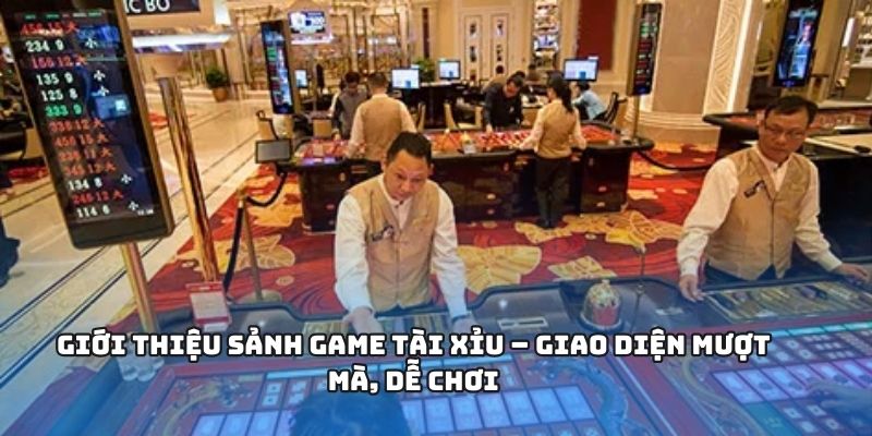 Cái nhìn tổng thể về trò chơi tài xỉu