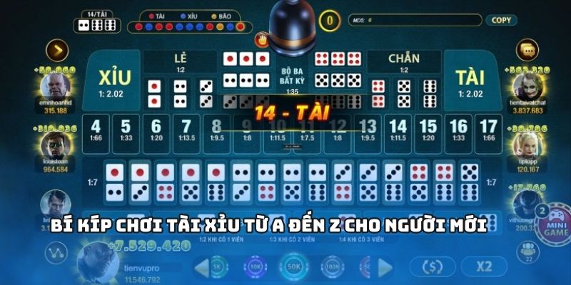 Hướng dẫn cách chơi cho người mới 