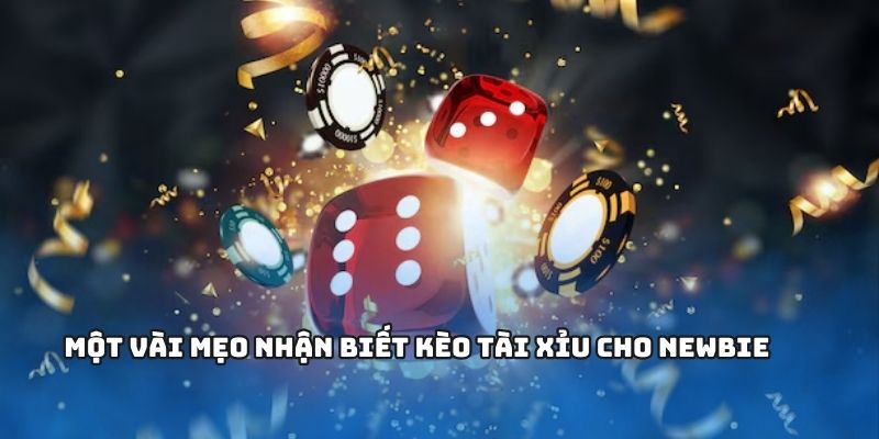 Mẹo chơi hữu ích giúp bạn thắng cược dễ dàng