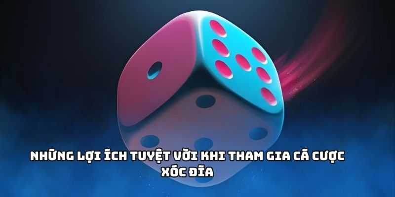 Những lý do hấp dẫn khi bạn nên tham gia ác cược
