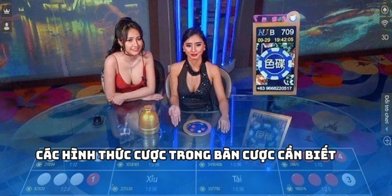Những lựa chọn cược cơ bản hấp dẫn
