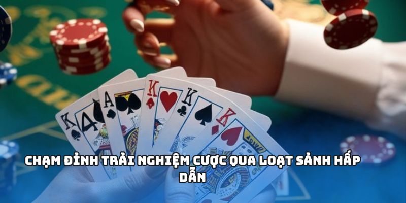 Chạm đỉnh trải nghiệm cược qua loạt sảnh hấp dẫn