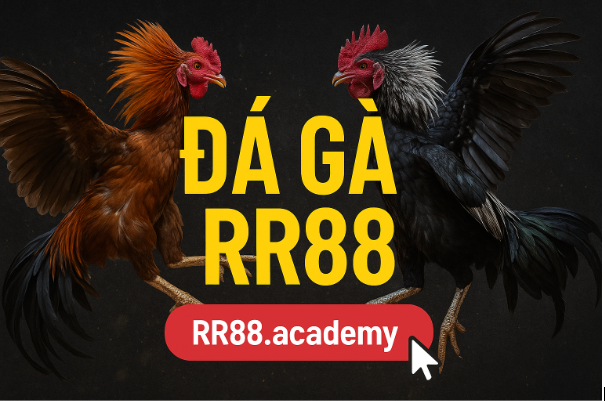 Hướng Dẫn Tham Gia Đá Gà RR88 Nhanh Chóng và Dễ Dàng