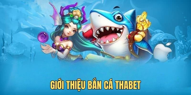 Chiến thuật bắn cá Thabet dành cho người mới bắt đầu