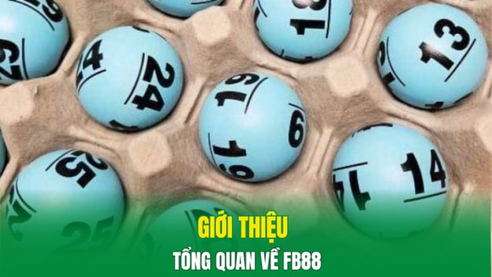 Giới thiệu tổng quan về FB88
