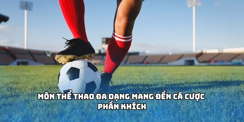 Môn thể thao đa dạng mang đến cá cược phấn khích