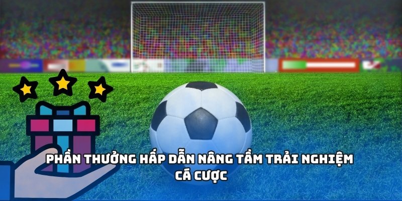 Phần thưởng hấp dẫn nâng tầm trải nghiệm cá cược