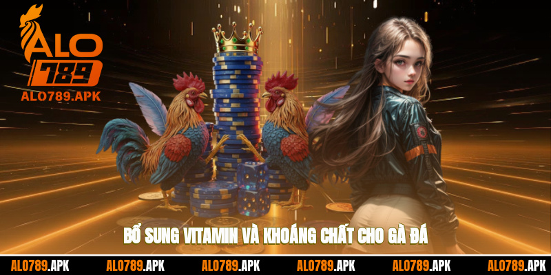 Bổ sung vitamin và khoáng chất cho gà đá
