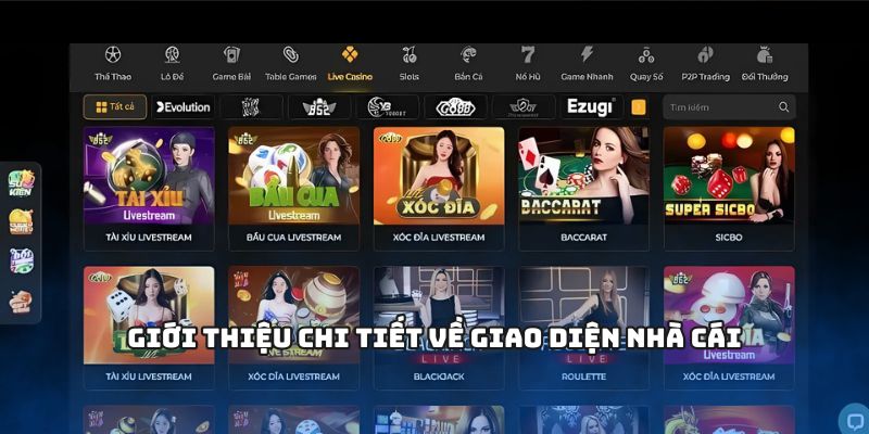 Giới thiệu chi tiết về giao diện nhà cái