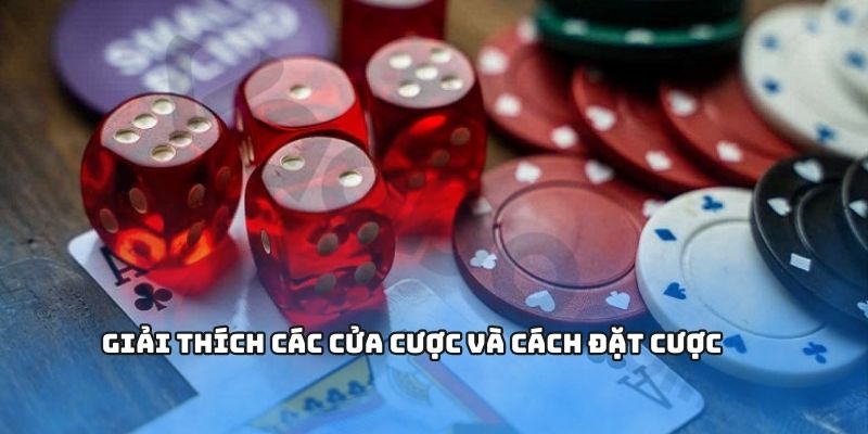 Cách đặt cược và ý nghĩa cửa cược