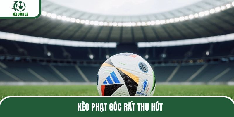 Kèo phạt góc thuộc top các loại kèo được yêu thích